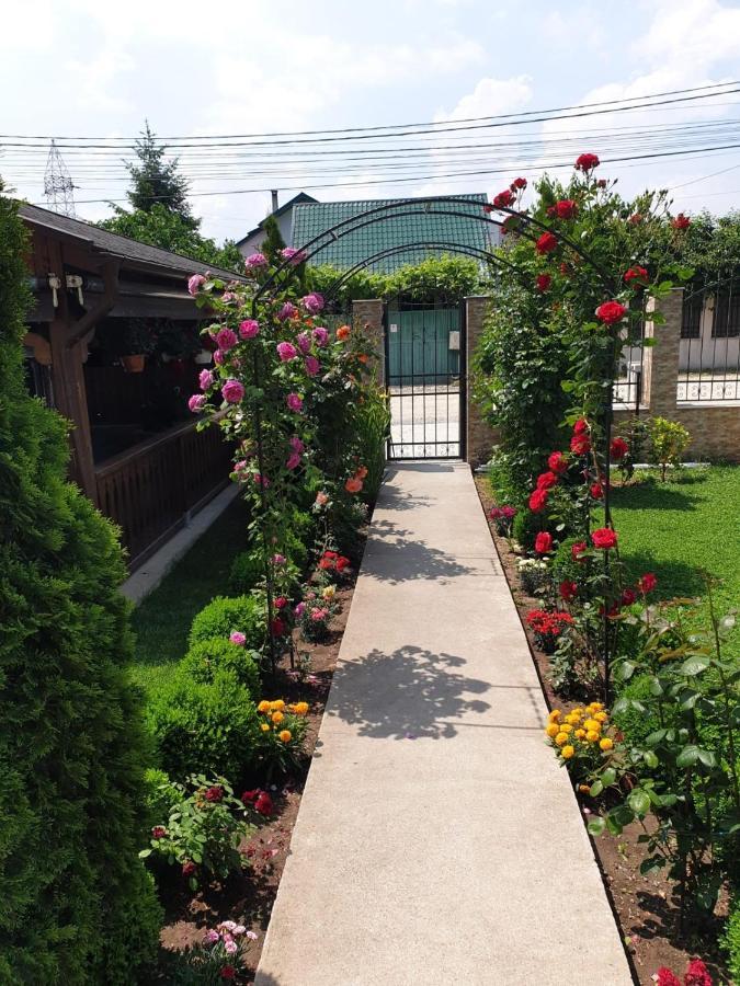 Vila Yna Năvodari Kültér fotó
